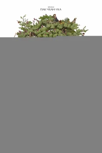 Метод исключения